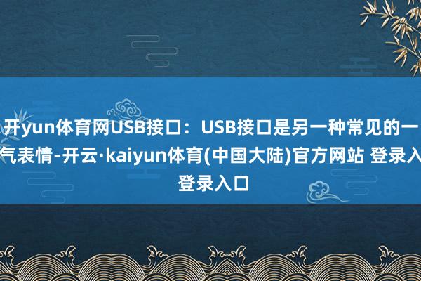 开yun体育网USB接口：USB接口是另一种常见的一语气表情-开云·kaiyun体育(中国大陆)官方网站 登录入口